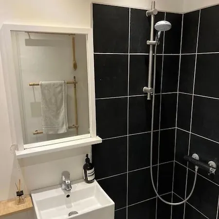 Apartment 1-bedroom With Park View Frederiksberg Copenhagen