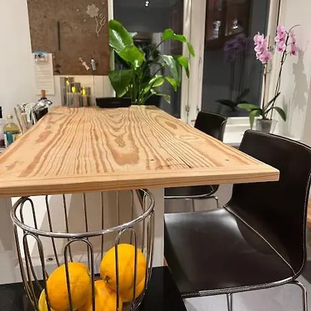 Apartment 1-bedroom With Park View Frederiksberg