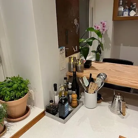 1-bedroom With Park View Frederiksberg *