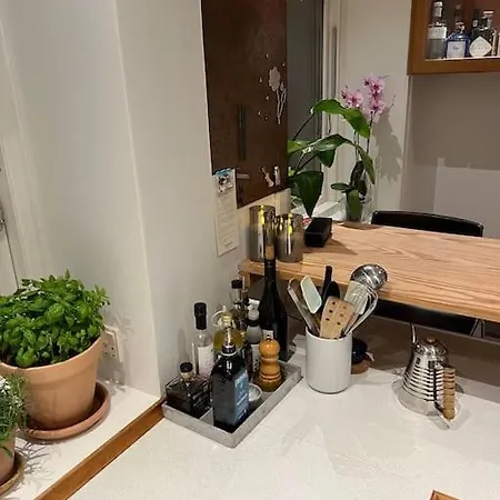 1-bedroom With Park View Frederiksberg *